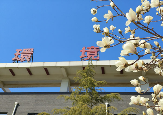 20250320 遇见·春天,解锁海螺新材的春日浪漫119 20250320 遇见·春天,解锁海螺新材的春日浪漫119
