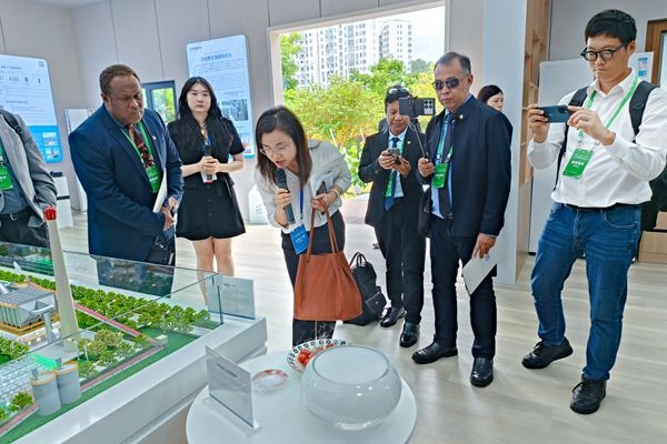 12.RCEP论坛外媒团来海螺屋参观采访 12.RCEP论坛外媒团来海螺屋参观采访