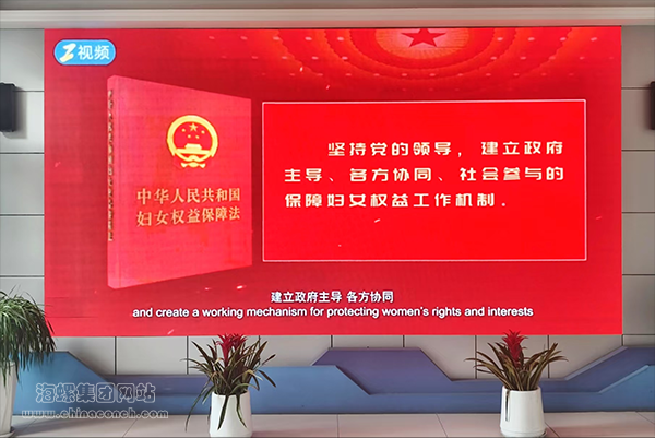 图片7 图片7