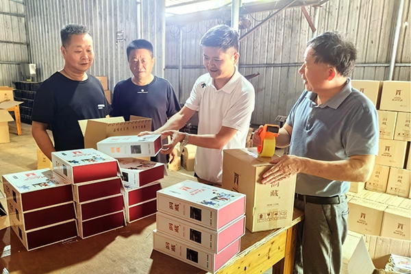 下载 下载