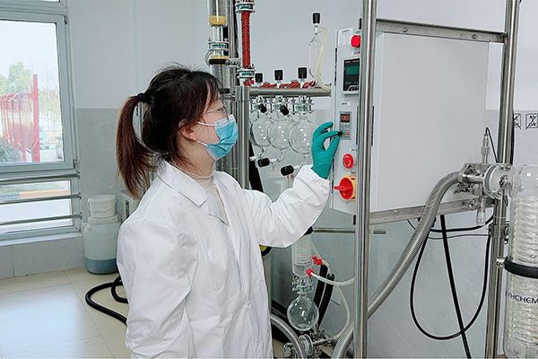 图片2400600 图片2400600